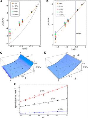 Individual Roles of Network and Sheet Solids in Architectured Porous Materials